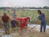 New electric Wheat thresher with High Efficiency