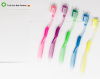 cheap hotel toothbrush colorful