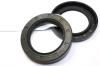 oil seal used for IVECO CAR OEM NO.982411 42534975 8527970 61586123 40101340 98499173 2421820 2421820 40001910 40001020