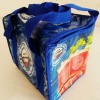 Cooler Bags for picnic