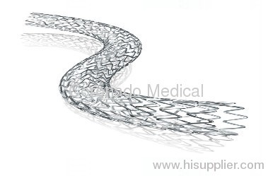 CoDura Sirolimus-Eluting Coronary Stent System