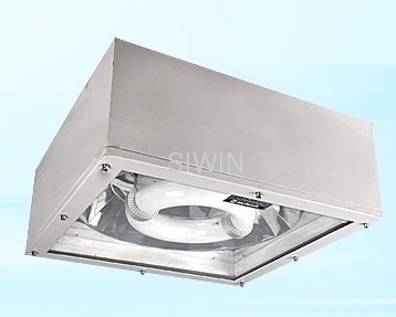 Induction Gas station lighting 80-250w