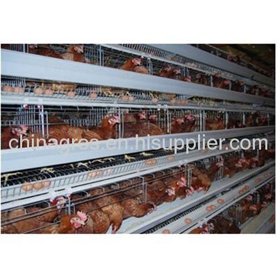 Chicken Cage Hen Coop Layer Coop Galvanized Layer Chicken HenCoopPoultry Chicken Cage metal cages