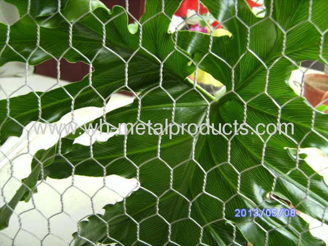 Hex. Wire Netting Poultry breeding barrier