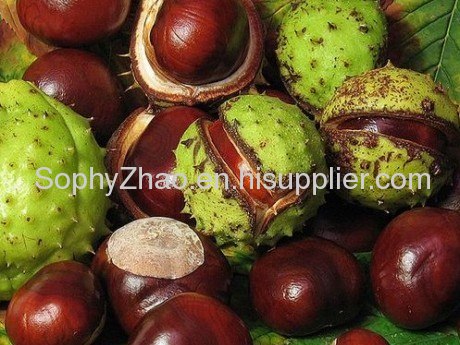 Horse Chestnut Seed Extract