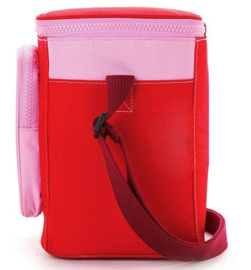 Fashion cooler bag