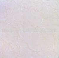 SOLUBLE SALT-MSP6657 Polished Tile