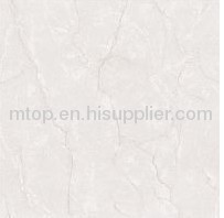 SOLUBLE SALT MSP6655 Polished Tile