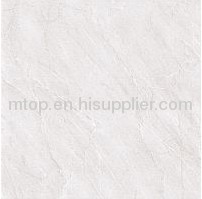 SOLUBLE SALT-MSP6638 Polished Tile