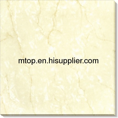 SOLUBLE SALT- MXN6120 polished tile
