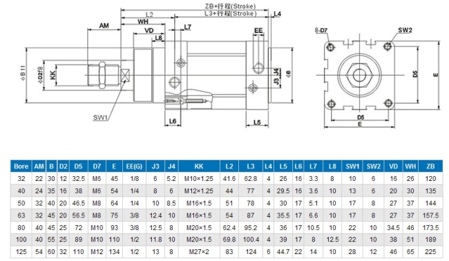 Double Action air cylinder feston DNC Series