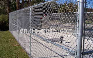 PVC-coated wire chain link fence