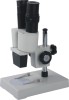 Stereo Microscope XT 2B