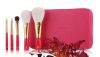 Attractive and Durable Makeup Brush Set with Red Acrylic Handle