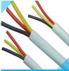 RVVP , control cable