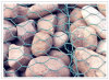 gabion box/ gabion baskets/ mattress