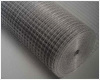 Hot Sale!! Welded wire mesh