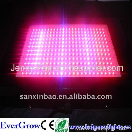 Hot Sale 600W High Power Led Grow Light Led Lights For Plant EG600