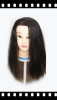 MODEL HEAD THE CHEAPEST QUOTE 100% HUMAN HAIR