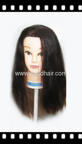 MODEL HEAD THE CHEAPEST QUOTE 100% HUMAN HAIR