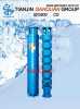 QJR Geothermal Submersible Borehole Pump