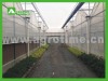 hot sell greenhouse in China