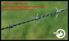 Yinuo Supply High Quality Barbed Wire