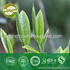 green tea extract polyphenols