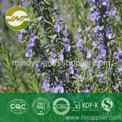 rosemary extract Rosmarinic acid 30%