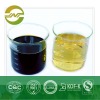 green tea concentrate polyphenols