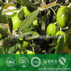 olive leaf extract oleuropein