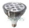 12 W Par LED Spotlight , E27 PAR38 220V High Power