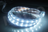 led strip lights 12v 24V