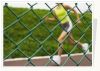 Property of plastic coated chain link fence/