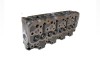 Cylinder Head for Toyota 1DZ