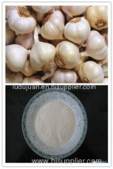 spray dried garlic powder