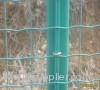 PVC Coated Euro Fence