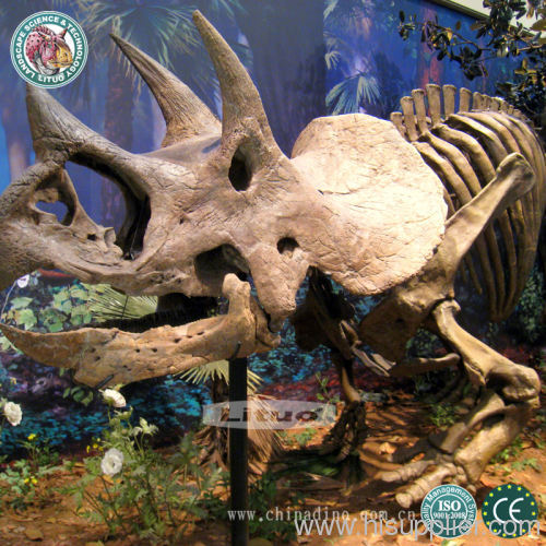 Fiberglass Dinosaur Skeleton Fossil