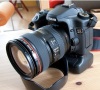 Canon EOS 40D 10.1MP DSLR Camera