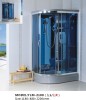 Shower Room / Steam Room with Clear Glass