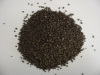 DAP ( Diammonium phosphate )