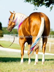 Dyed Horse Tail Hair Extension