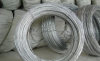 wire mesh Galvanzied Wire