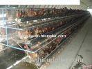 C and Z Purlin Hen House Building , Color Steel Sandwich Panel