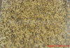 China Tiger Skin Yellow Granite
