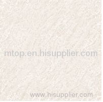 SOLUBLE SALT MSP6038T Polished Tile