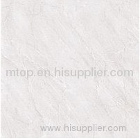 SOLUBLE SALT MSP6638 Polished Tile