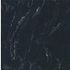 SUPER BLACK MC-01 Polished Tile