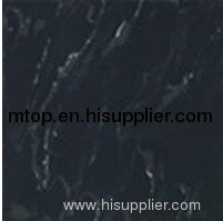 SUPER BLACK MC-01 Polished Tile