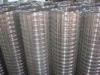 Stainless Steel Welded Wire Mesh, galvanized for construction, transport